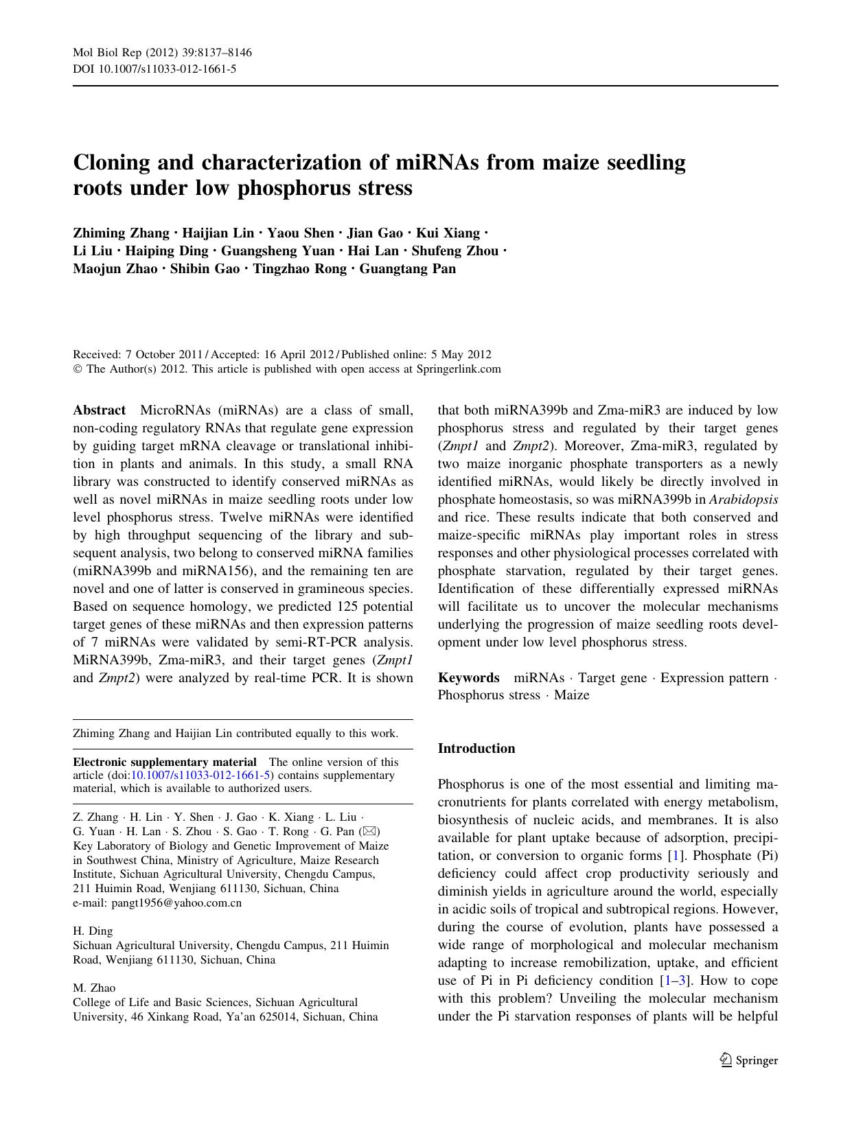 8137-8146 by Unknown