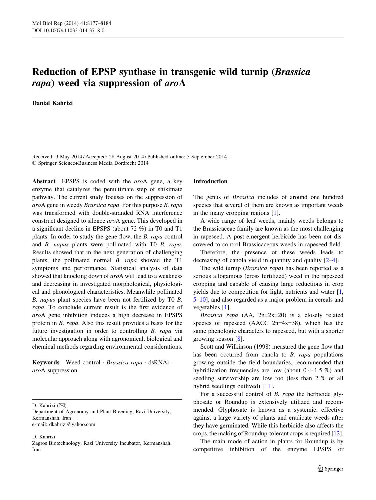 8177-8184 by Unknown