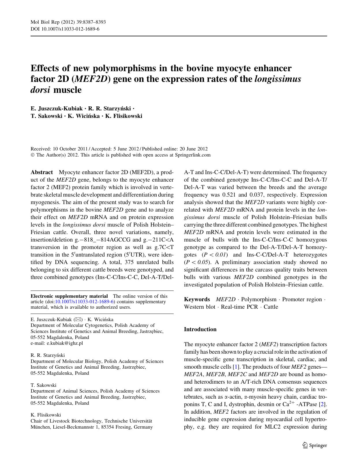 8387-8393 by Unknown