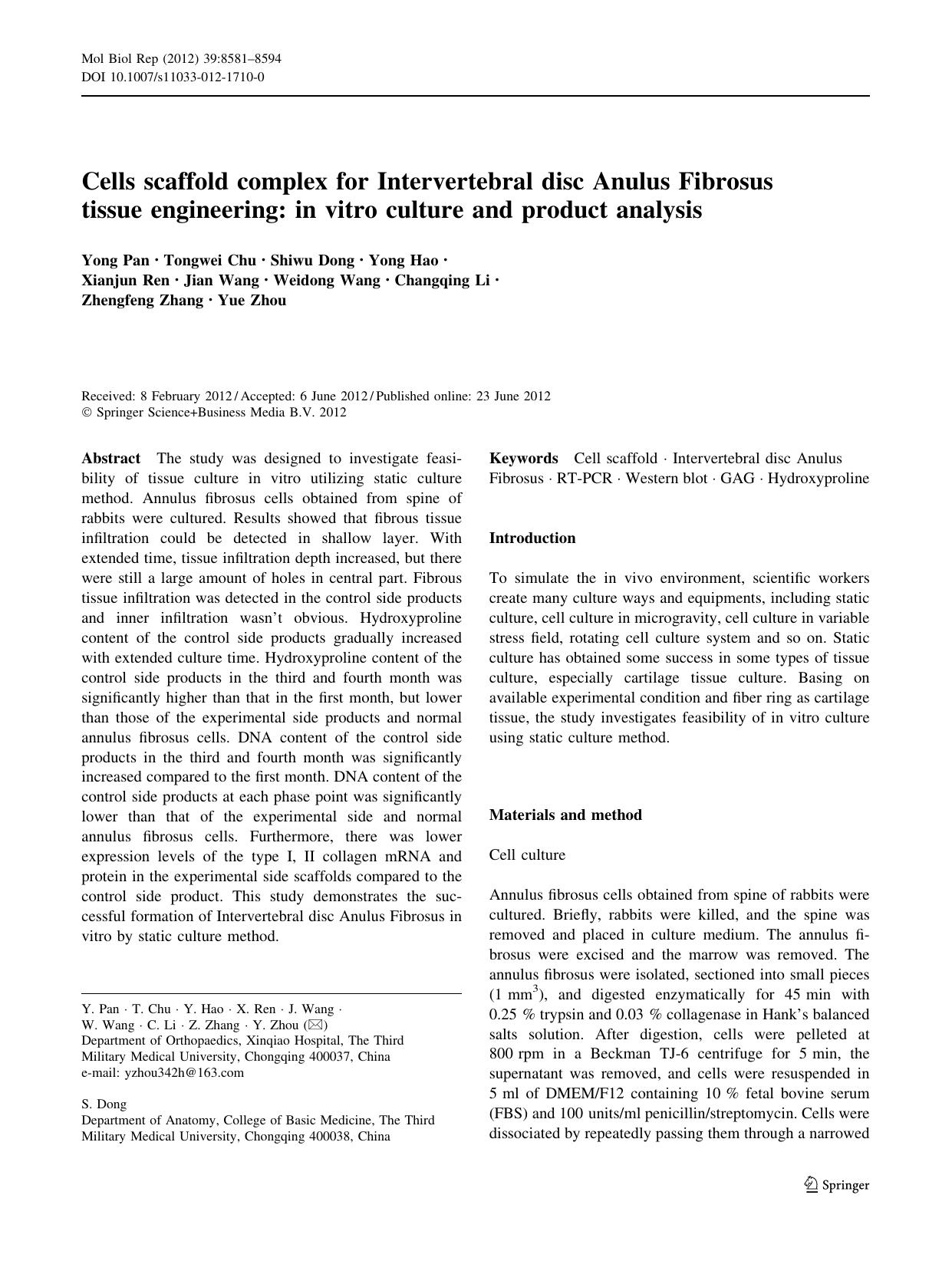 8581-8594 by Unknown