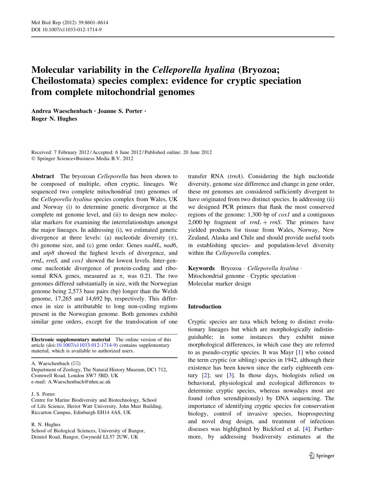 8601-8614 by Unknown