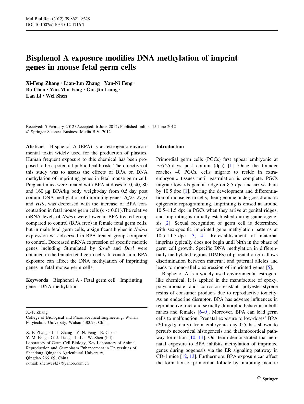 8621-8628 by Unknown