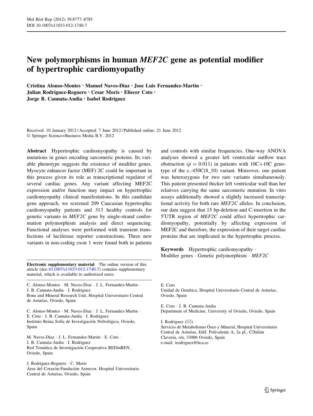 8777-8785 by Unknown