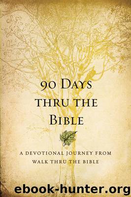 90 Days Thru the Bible by Chris Tiegreen