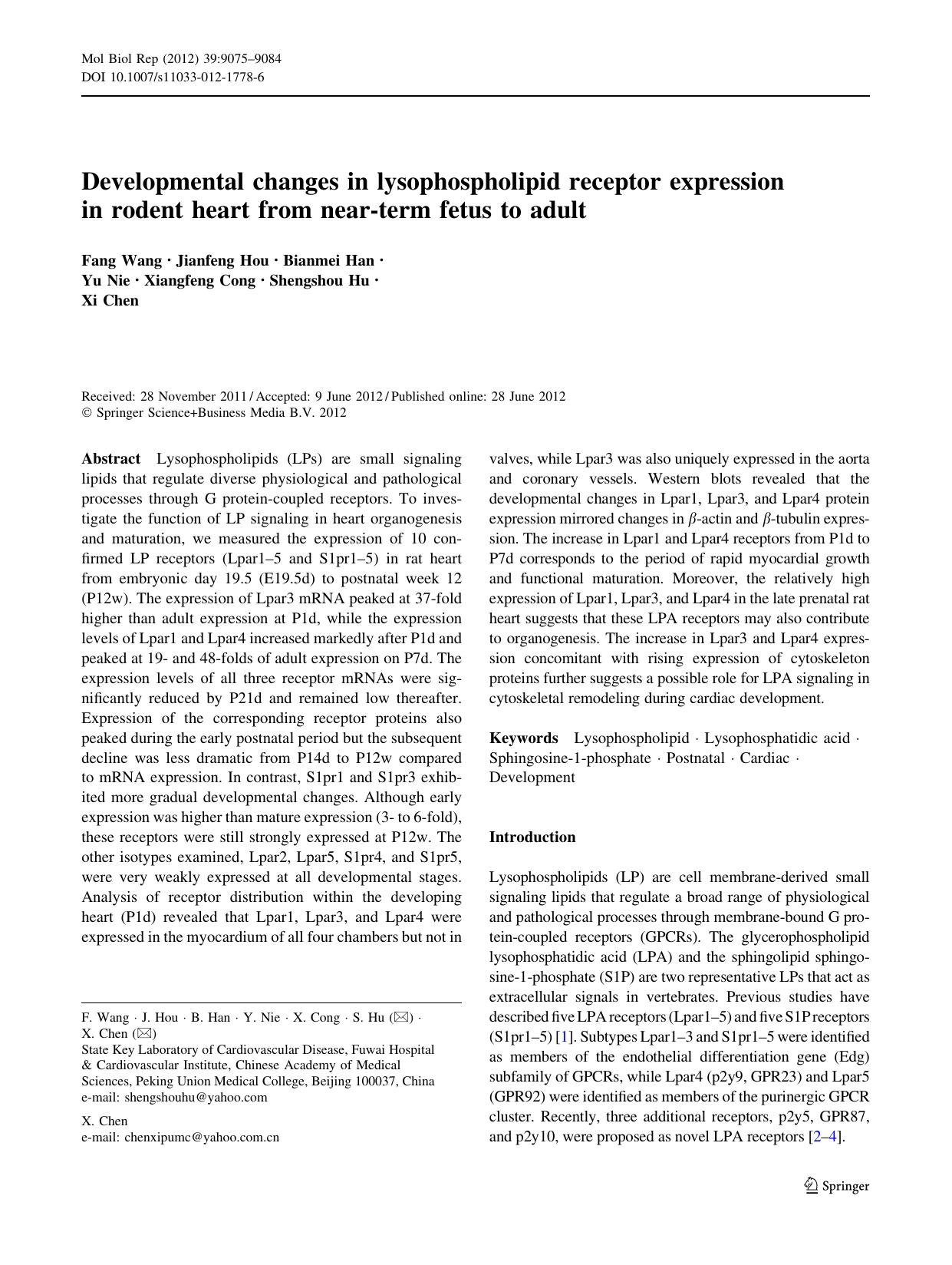 9075-9084 by Unknown