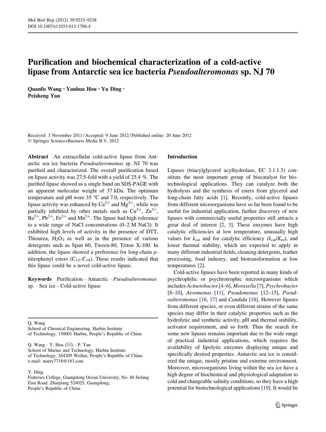 9233-9238 by Unknown