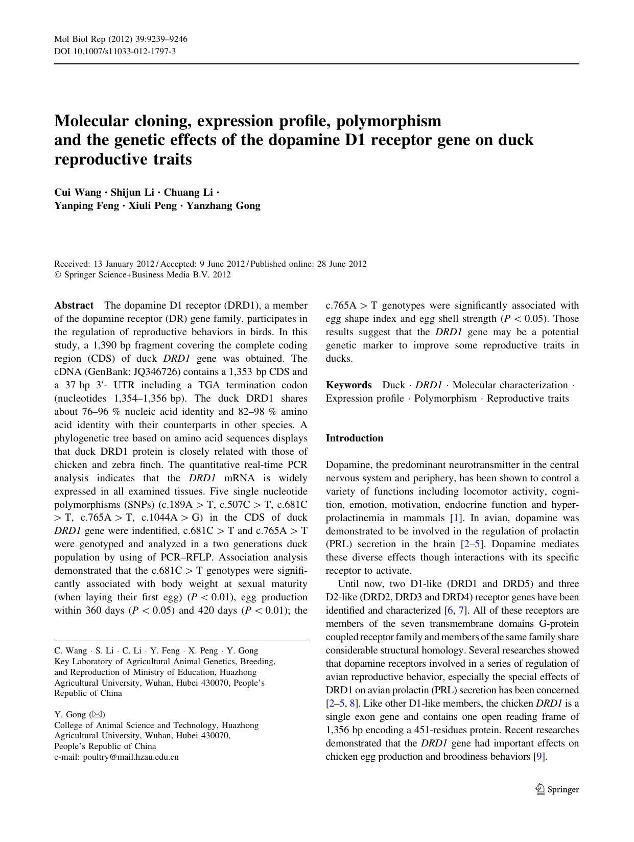 9239-9246 by Unknown