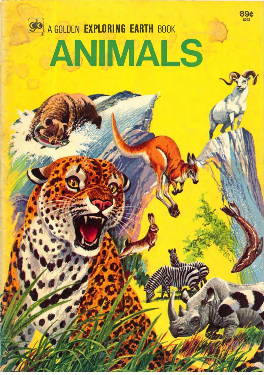 94340592-Animals by Unknown