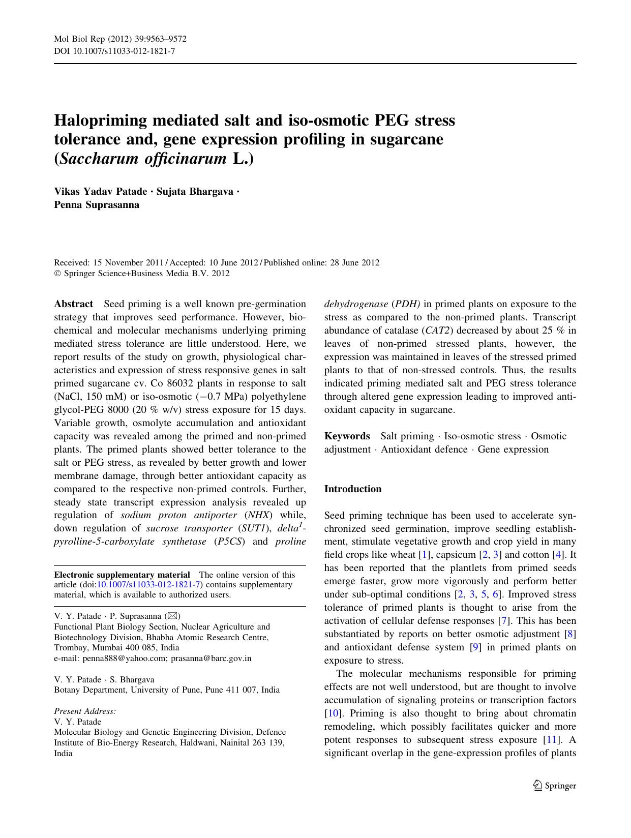 9563-9572 by Unknown