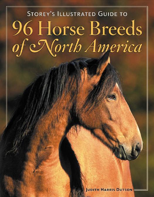 96 Horse Breeds of North America: Storey's illustrated guide to by Dutson Judith