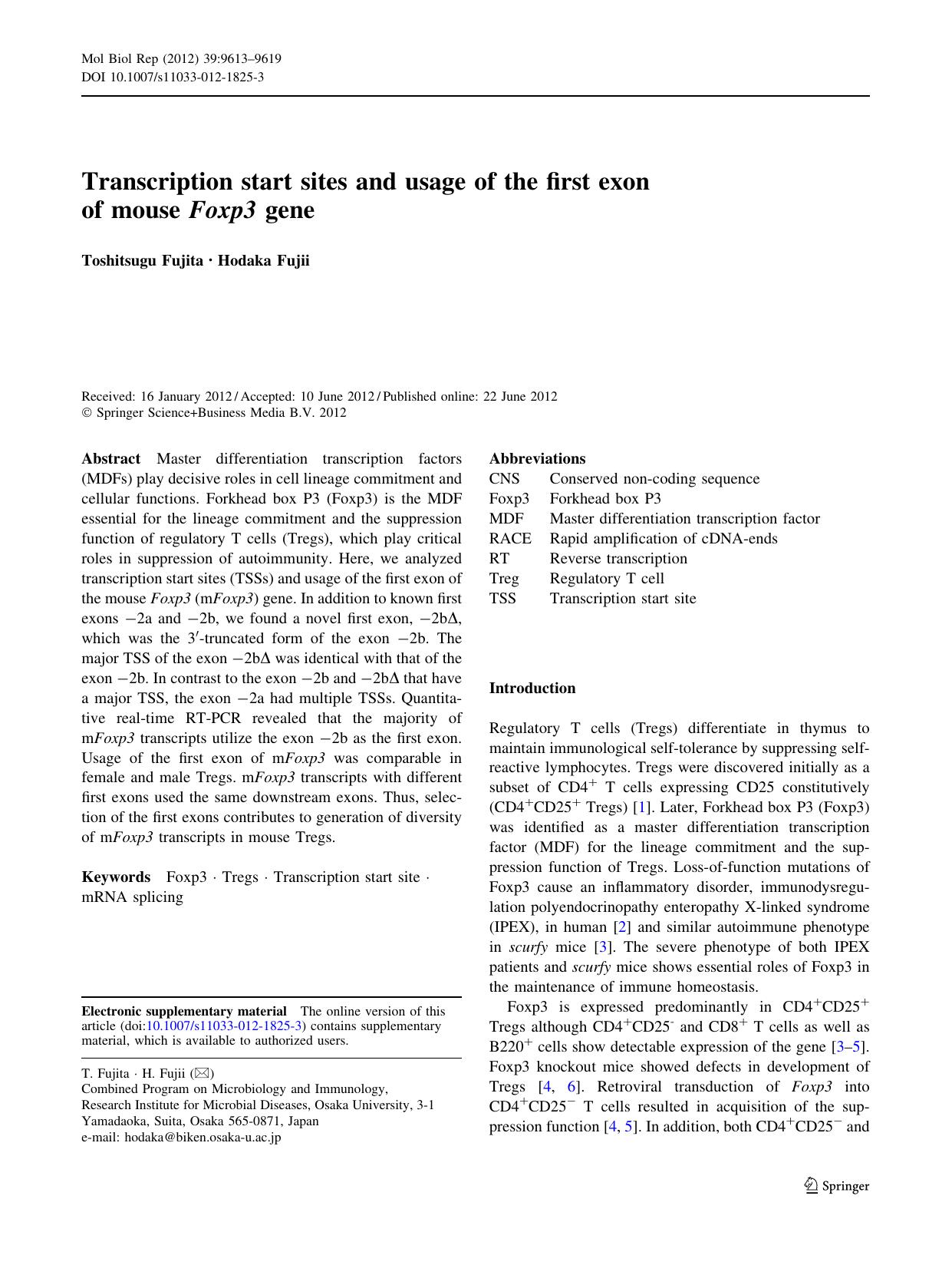 9613-9619 by Unknown