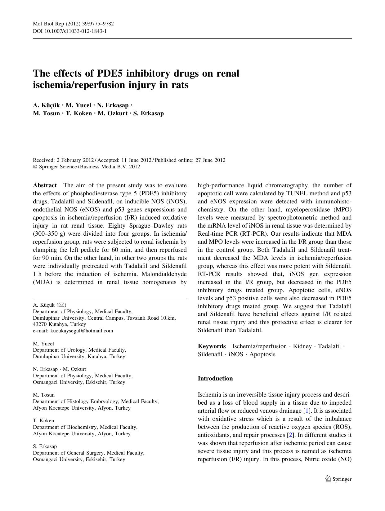 9775-9782 by Unknown