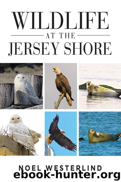 9781640277663 by Unknown