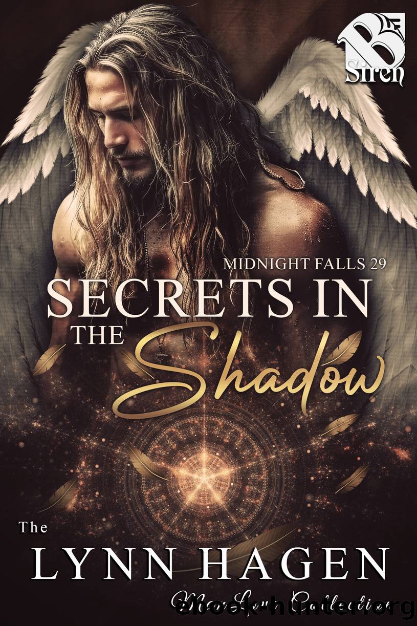 9781646379507 Lynn Hagen-Secrets in the Shadow (MF29) by Lynn Hagen
