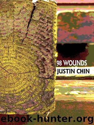 98 Wounds by Justin Chin