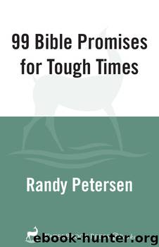 99 Bible Promises for Tough Times by Randy Petersen