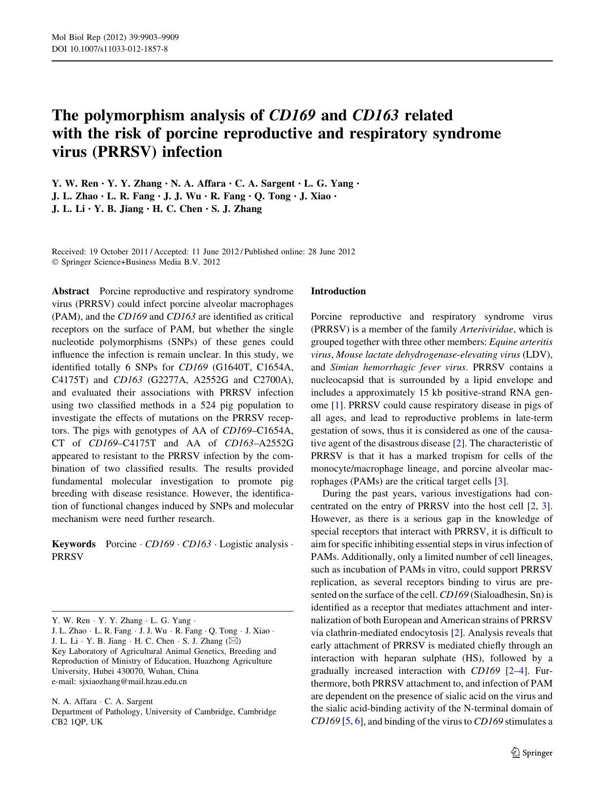 9903-9909 by Unknown