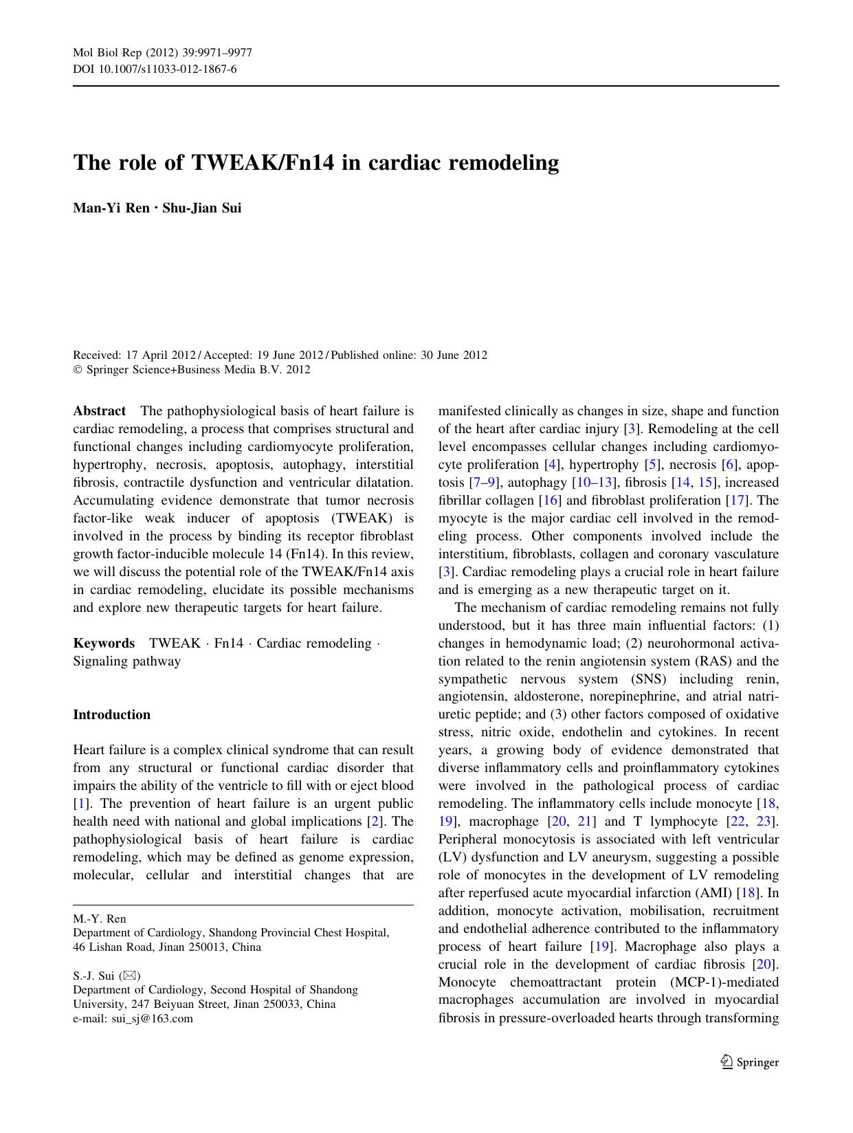 9971-9977 by Unknown