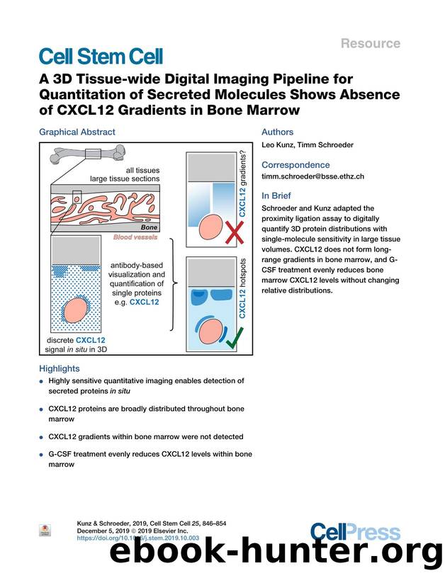A 3D Tissue-wide Digital Imaging Pipeline for Quantitation of Secreted Molecules Shows Absence of CXCL12 Gradients in Bone Marrow by Leo Kunz & Timm Schroeder