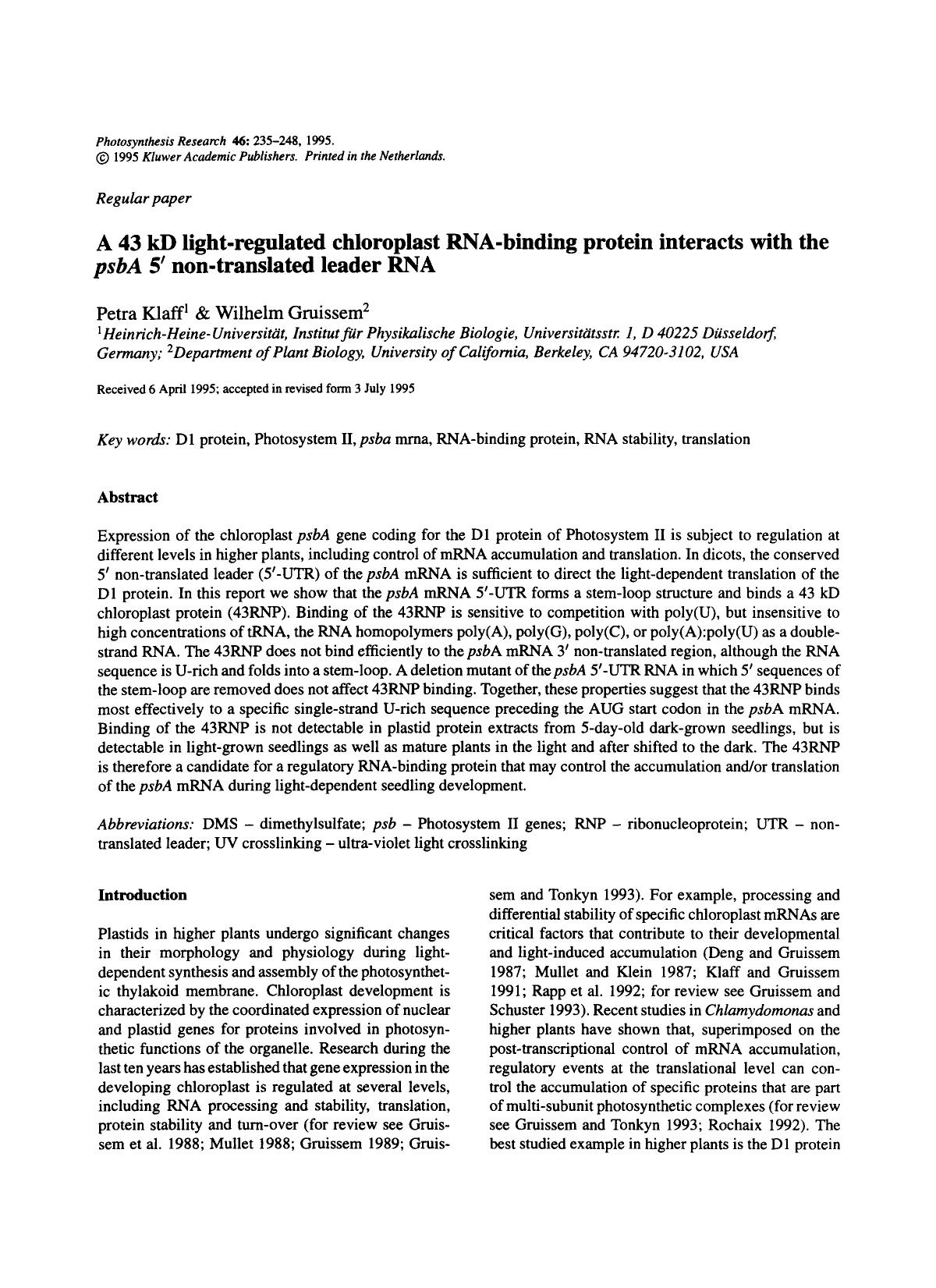 A 43 kD light-regulated chloroplast RNA-binding protein interacts with the <Emphasis Type="Italic">psbA<Emphasis> 5&#x2032; non-translated leader RNA by Unknown