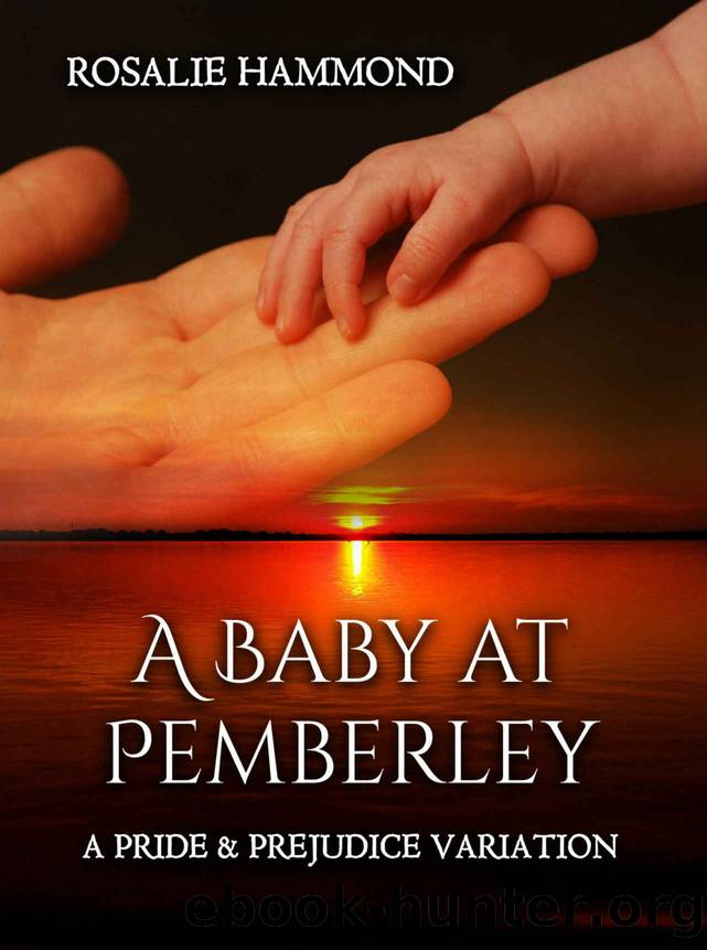 A Baby at Pemberley: A Pride and Prejudice Variation by Rosalie Hammond