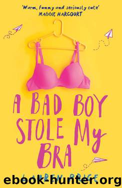 A Bad Boy Stole My Bra by Lauren Price