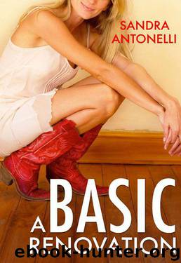 A Basic Renovation by Sandra Antonelli