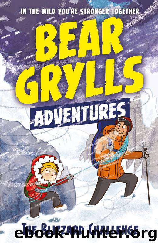 A Bear Grylls Adventure 1 by Bear Grylls
