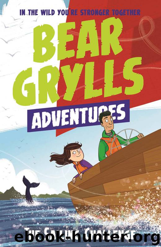 A Bear Grylls Adventure 12 by Bear Grylls