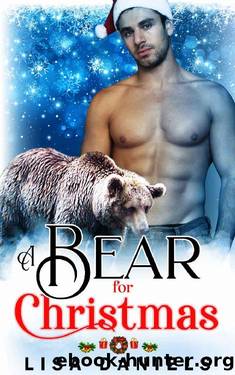 A Bear for Christmas by Lisa Daniels