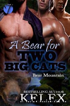 A Bear for Two Big Cats, BM16 by Kelex