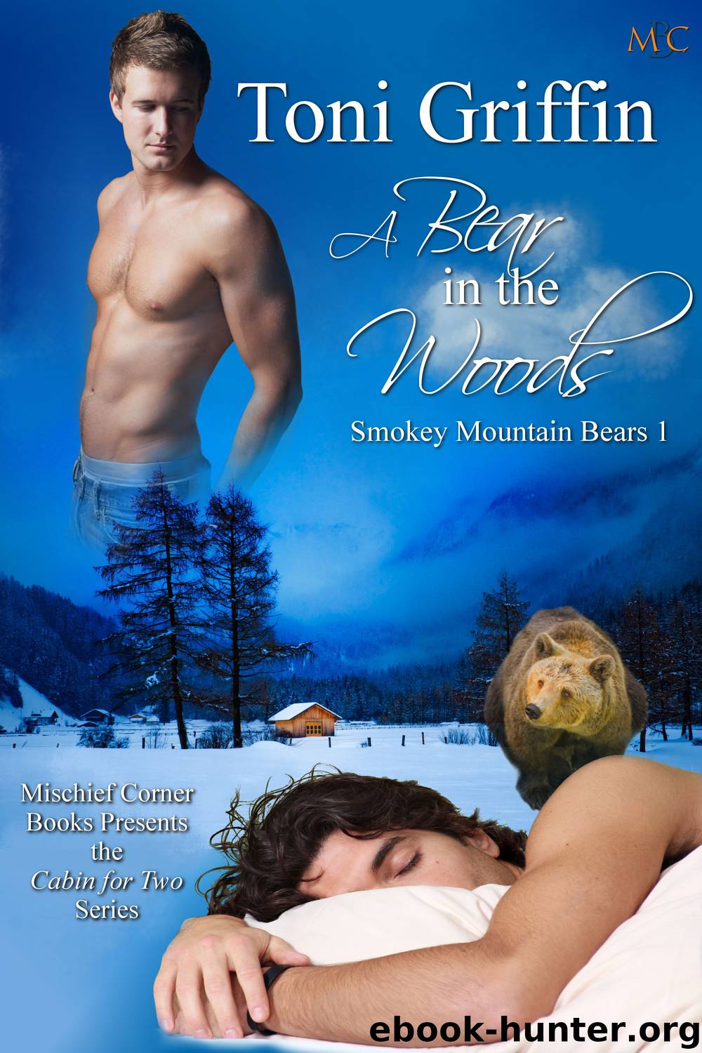 A Bear in the Woods by Toni Griffin