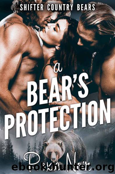 A Bear's Protection (Shifter Country Bears Book 1) by Noir Roxie