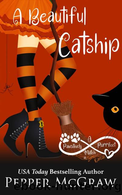 A Beautiful Catship by A.J. Culey