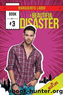 A Beautiful Disaster by Marguerite Labbe