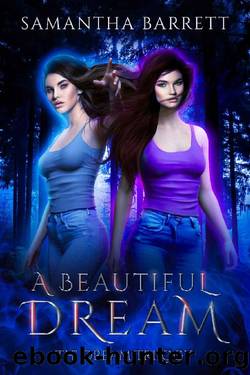A Beautiful Dream: The Dream Trilogy by Samantha Barrett