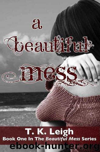 A Beautiful Mess by T. K. Leigh