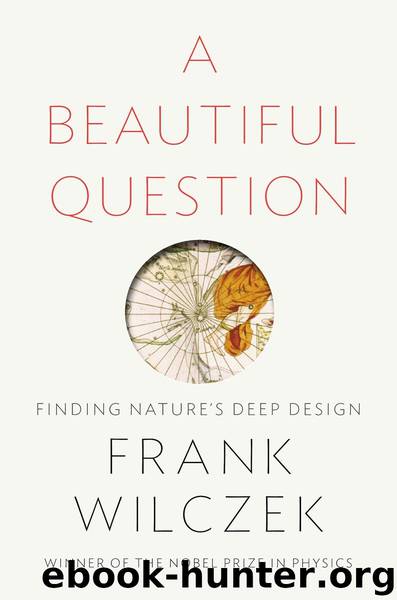A Beautiful Question by Frank Wilczek