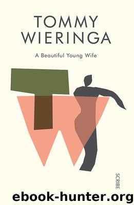 A Beautiful Young Wife by Tommy Wieringa