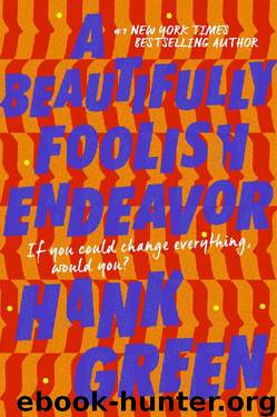 A Beautifully Foolish Endeavor: A Novel by Hank Green