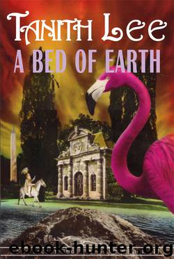 A Bed of Earth by Tanith Lee