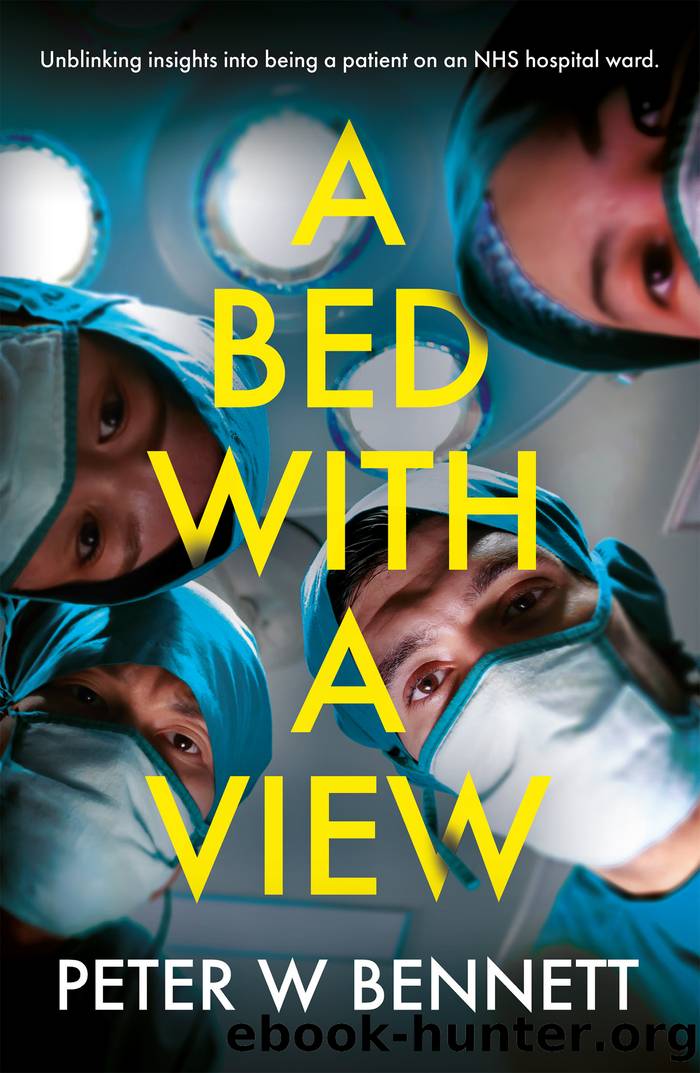 A Bed with a View by Peter W Bennett