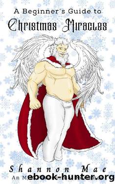 A Beginner's Guide to Christmas Miracles by Shannon Mae