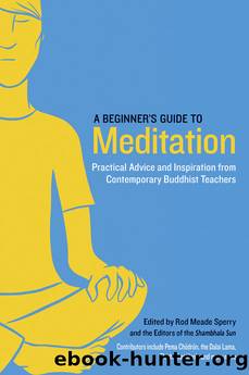 A Beginner's Guide to Meditation by Rod Meade Sperry
