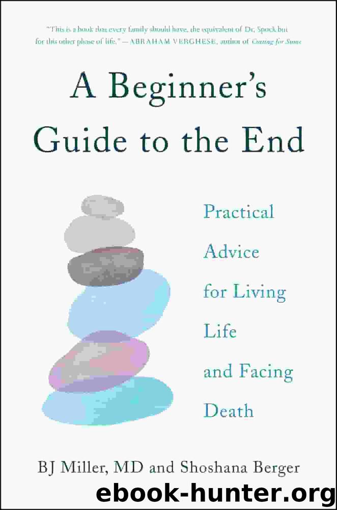 A Beginner's Guide to the End by B. J. Miller