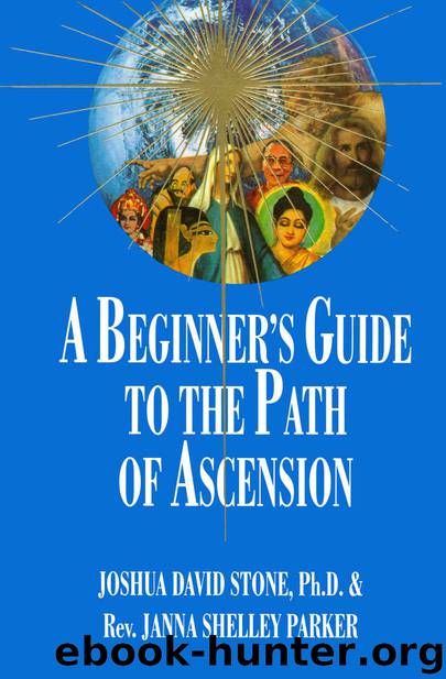 A Beginner's Guide to the Path of Ascension (Complete Ascension Book 7) by Stone Joshua David