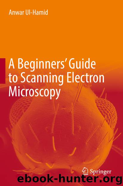 A Beginners’ Guide to Scanning Electron Microscopy by Anwar Ul-Hamid