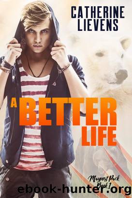 A Better Life by Catherine Lievens