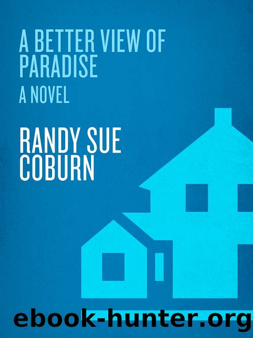 A Better View of Paradise by Randy Sue Coburn