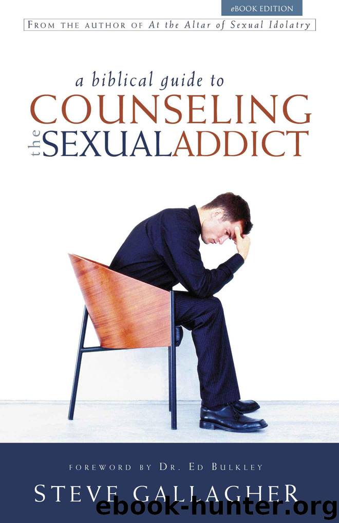 A Biblical Guide to Counseling the Sex Addict by Gallagher Steve